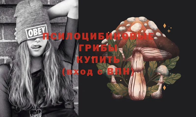 купить закладку  Аксай  Псилоцибиновые грибы Magic Shrooms 